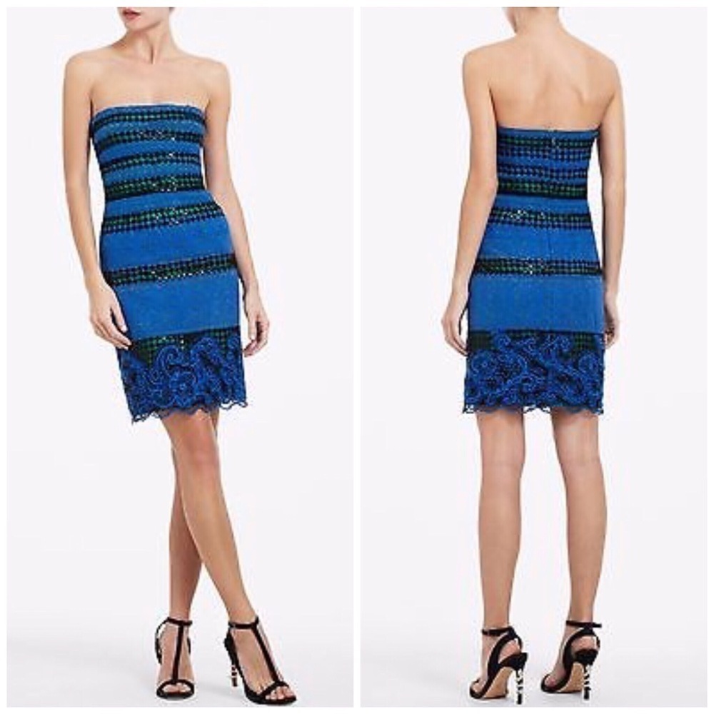 BCBGMaxAzria Manuela Strapless Embroidered Dress 8
